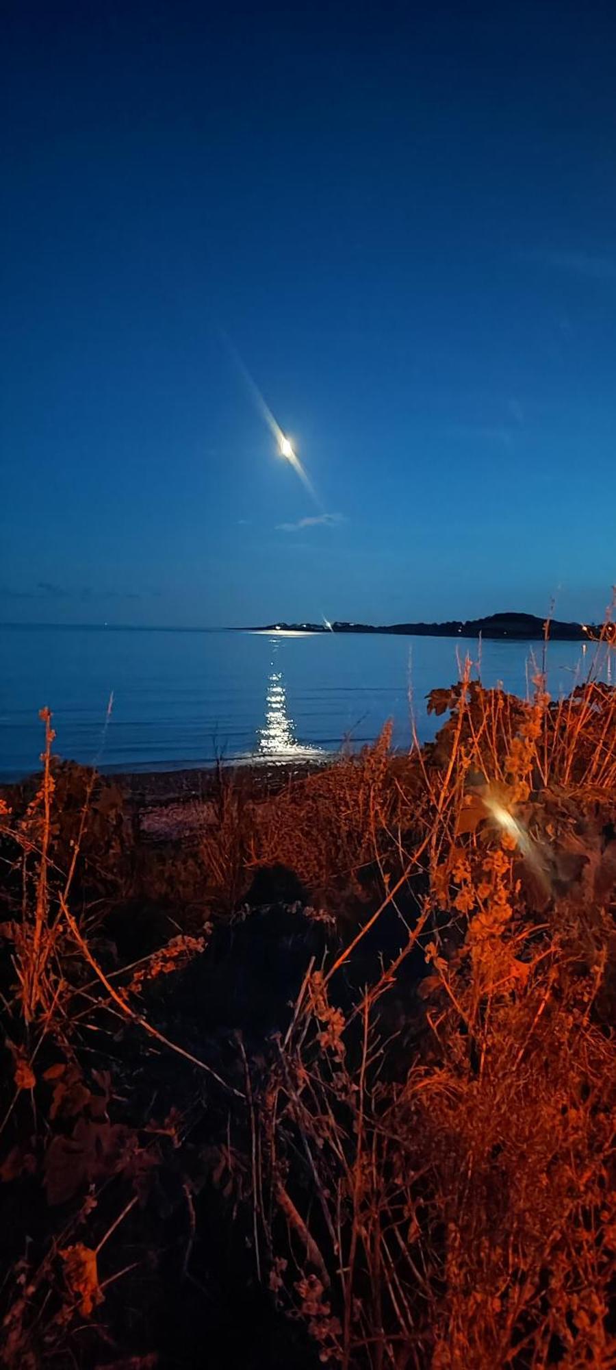 Horse Island View Luxury Retreat Apartment Kircubbin Luaran gambar